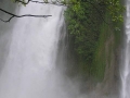 PC180074_resize