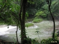 PC180078_resize