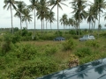PICT2399_resize