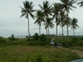 PICT2400_resize